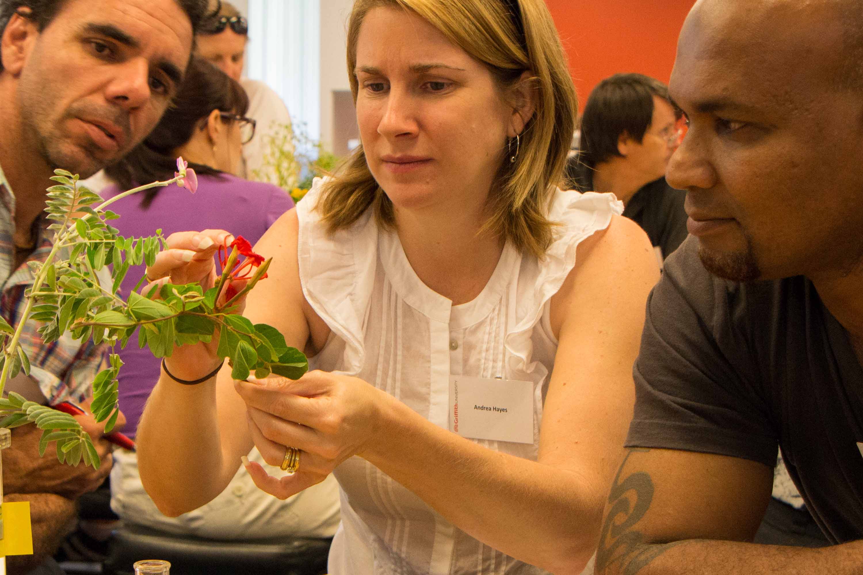 Cutting Edge Science Professional Learning day for Teachers and Scientific Operations Officers 