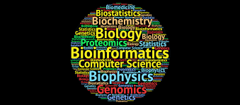 Mini Symposium: Bioinformatics