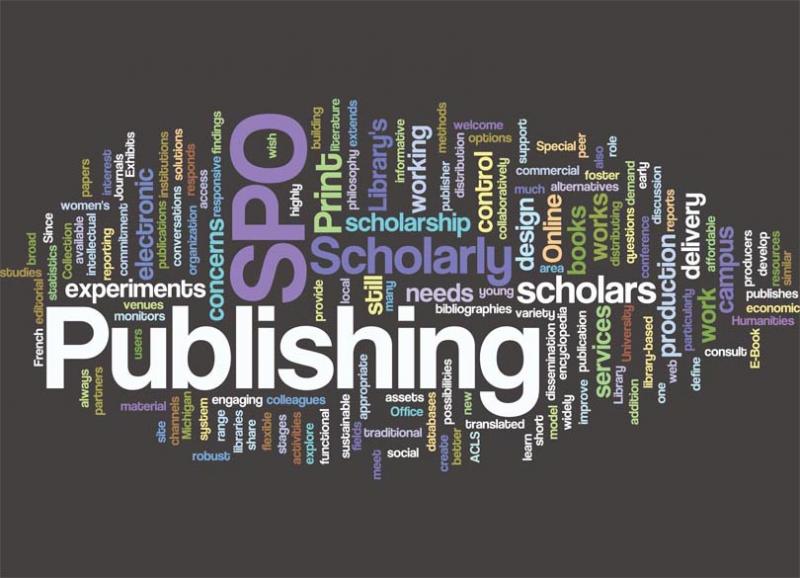 Publish or Perish? Multidisciplinary perspectives on what, when, with whom and why
