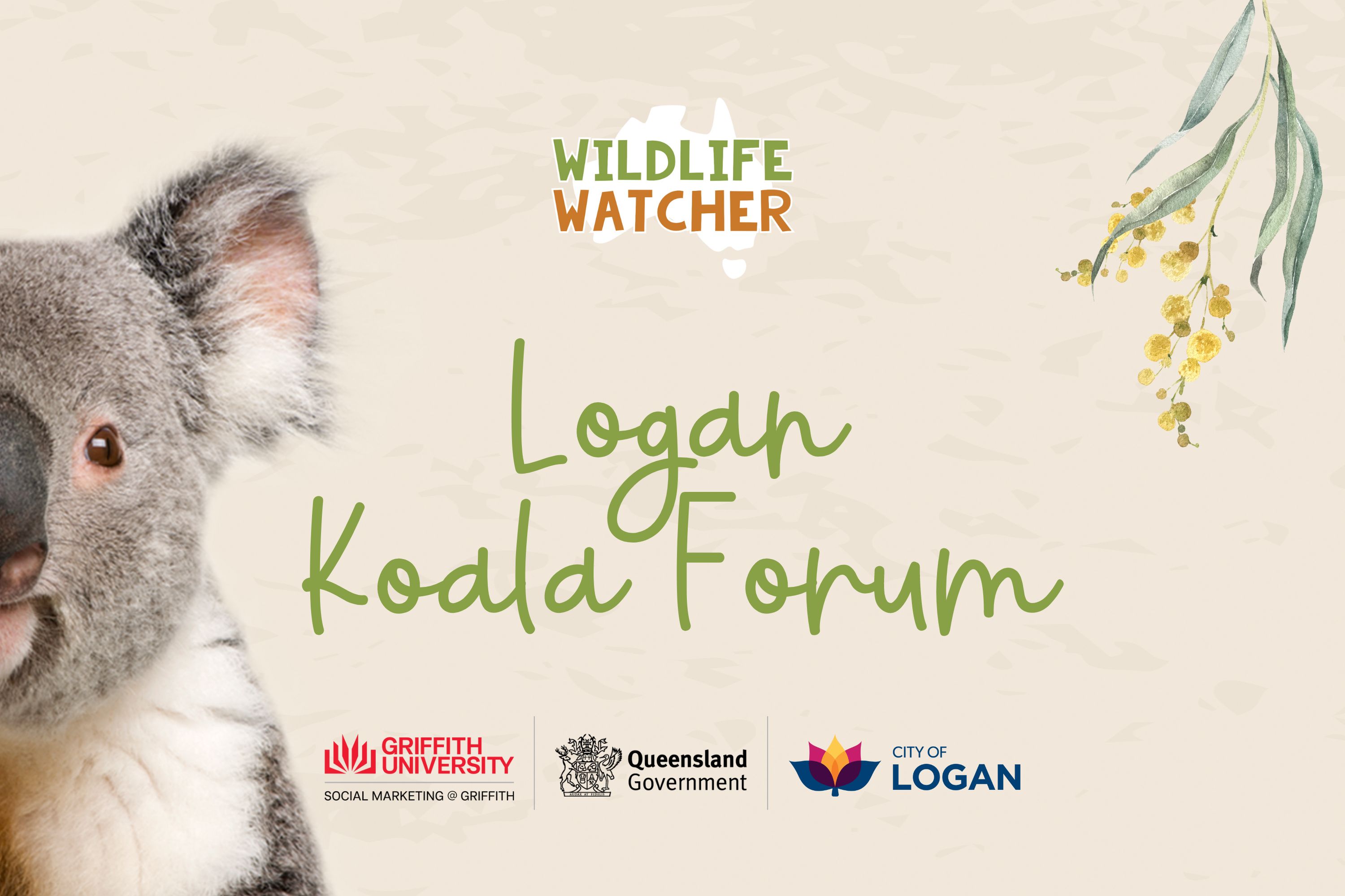 Logan Koala Forum