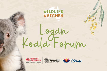 Logan Koala Forum