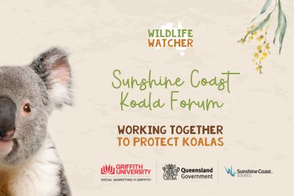 Sunshine Coast Koala Forum
