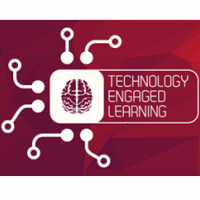 Technology Enhanced Learning (TEL)