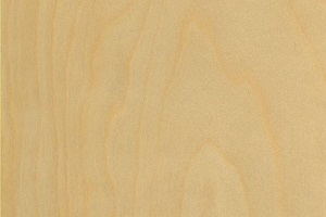 Japanese Woodblock (225 x 300)