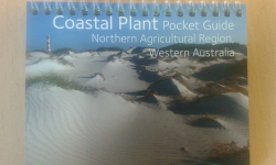 Coastal Plant Pocket Guide - Western Australia